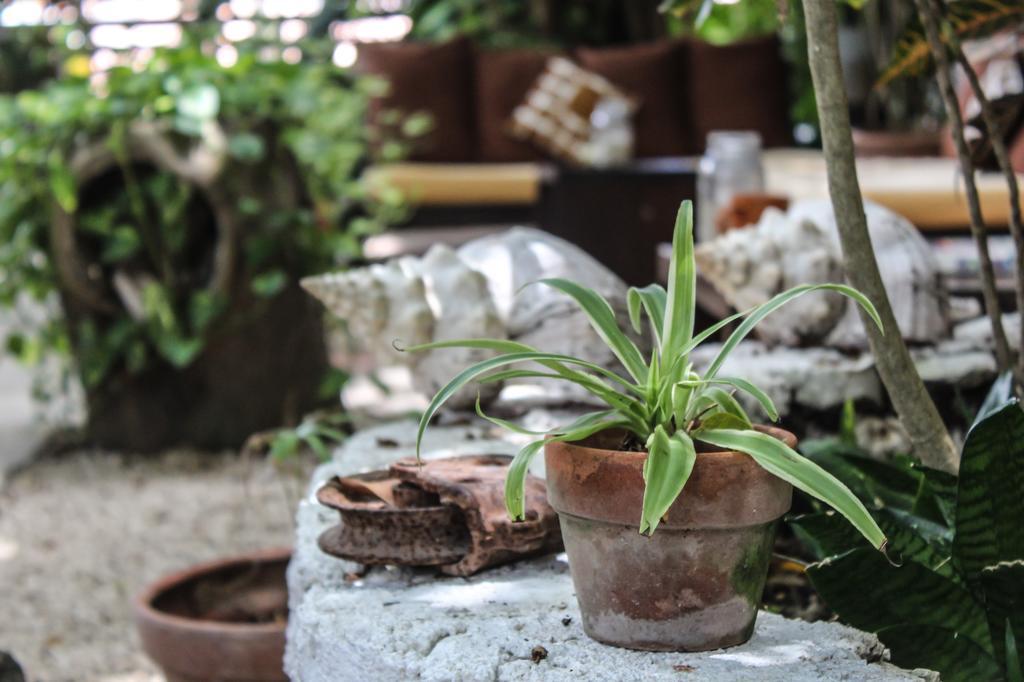 Secret Garden Tulum Hotel Exteriér fotografie