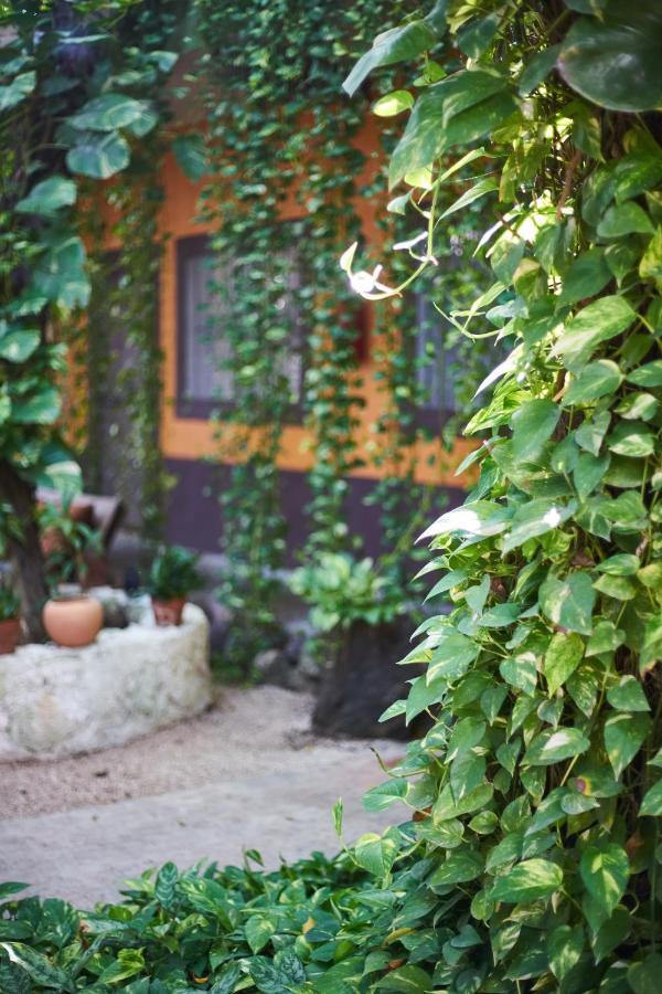 Secret Garden Tulum Hotel Exteriér fotografie